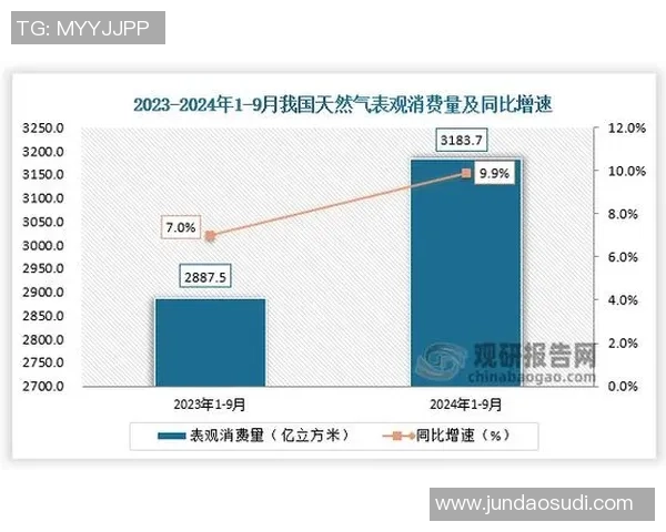 LNG反击策略深度分析与市场前景展望 LNG反击策略深度分析与市场前景展望